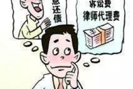 高密融资清欠服务